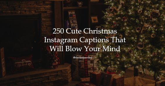funny christmas captions for instagram