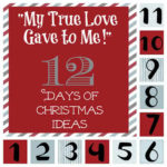 "My True Love Gave to Me" 12 Days of Christmas Ideas