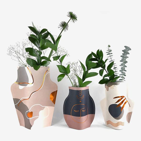 Eye Travel Lab Paper Vase Set 