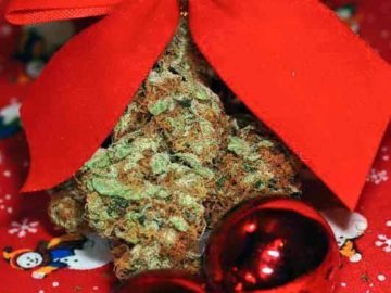 The Five Best Stoner Christmas Movies